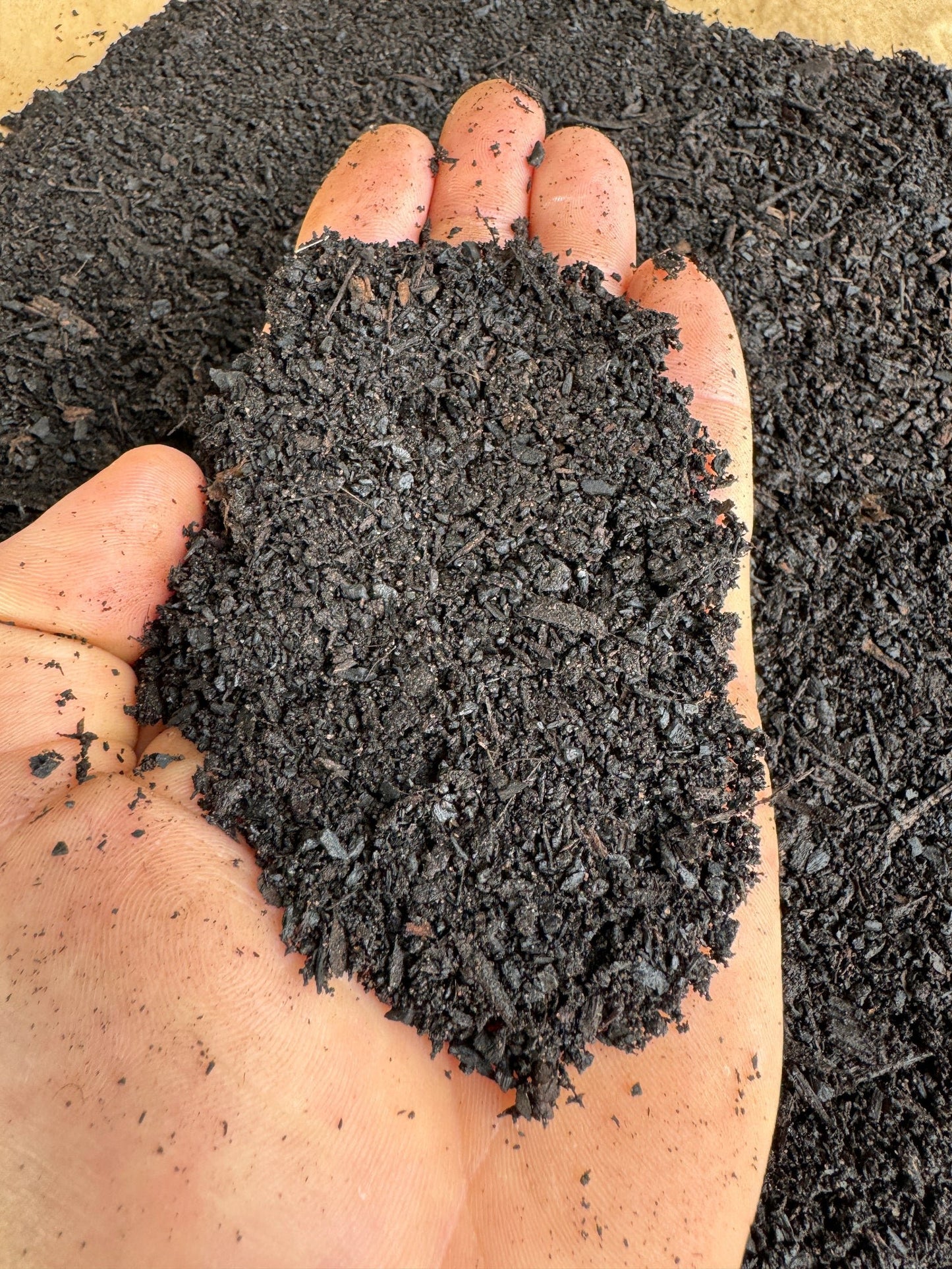Morphues Fermented BioChar