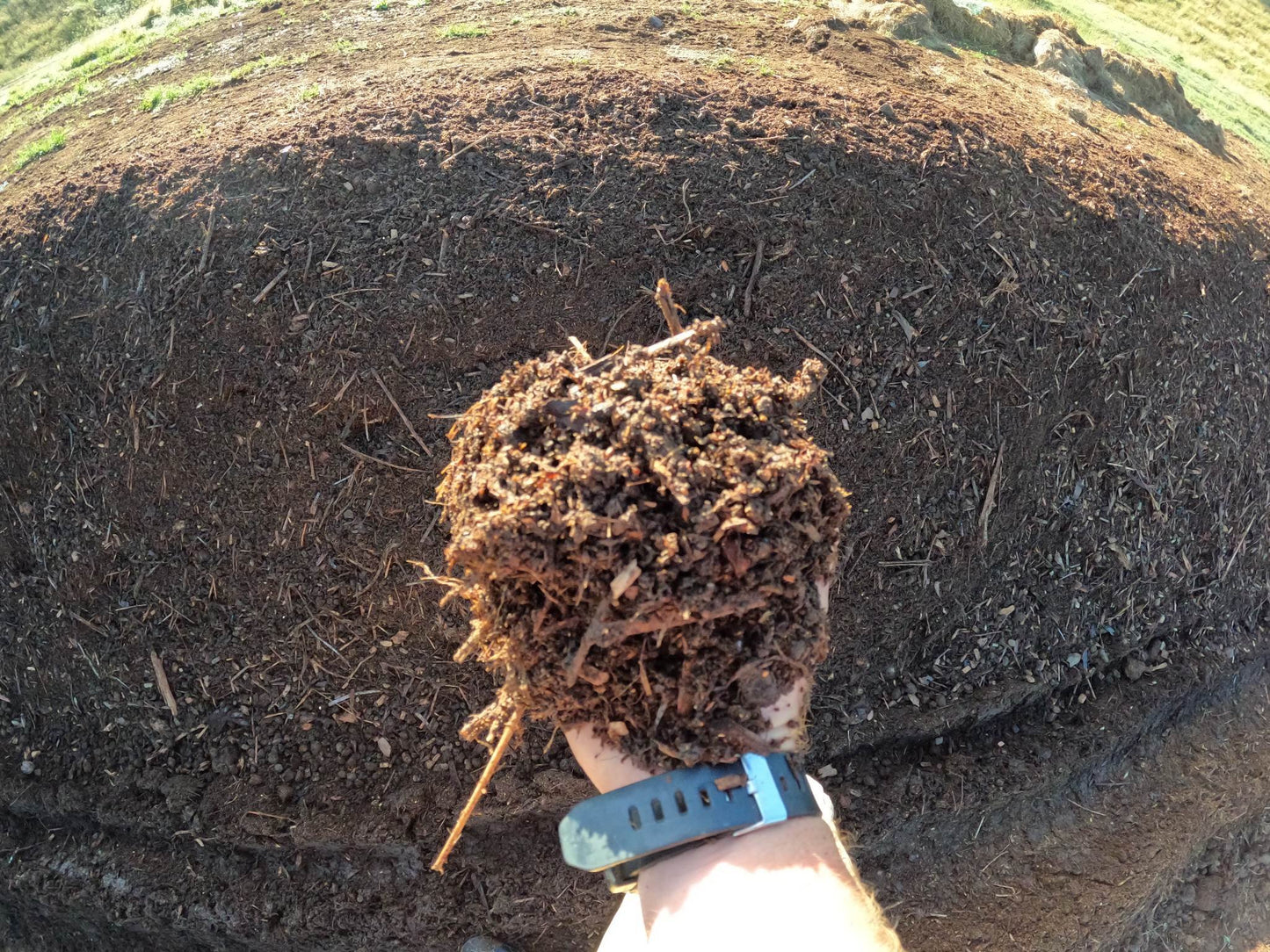 Biodynamic Fermented Mulch (fertilizer mulch) 2.0