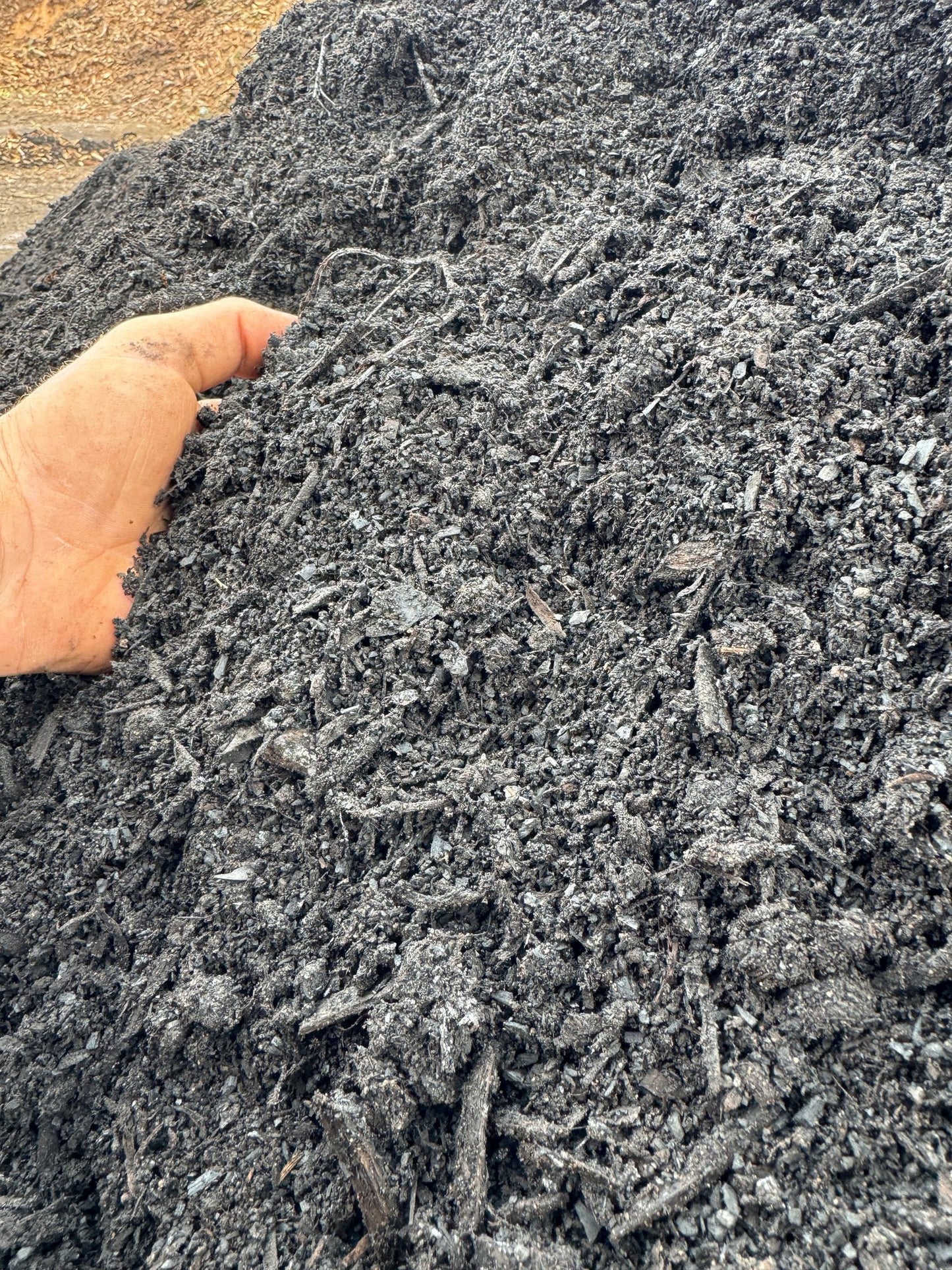 Morphues Fermented BioChar