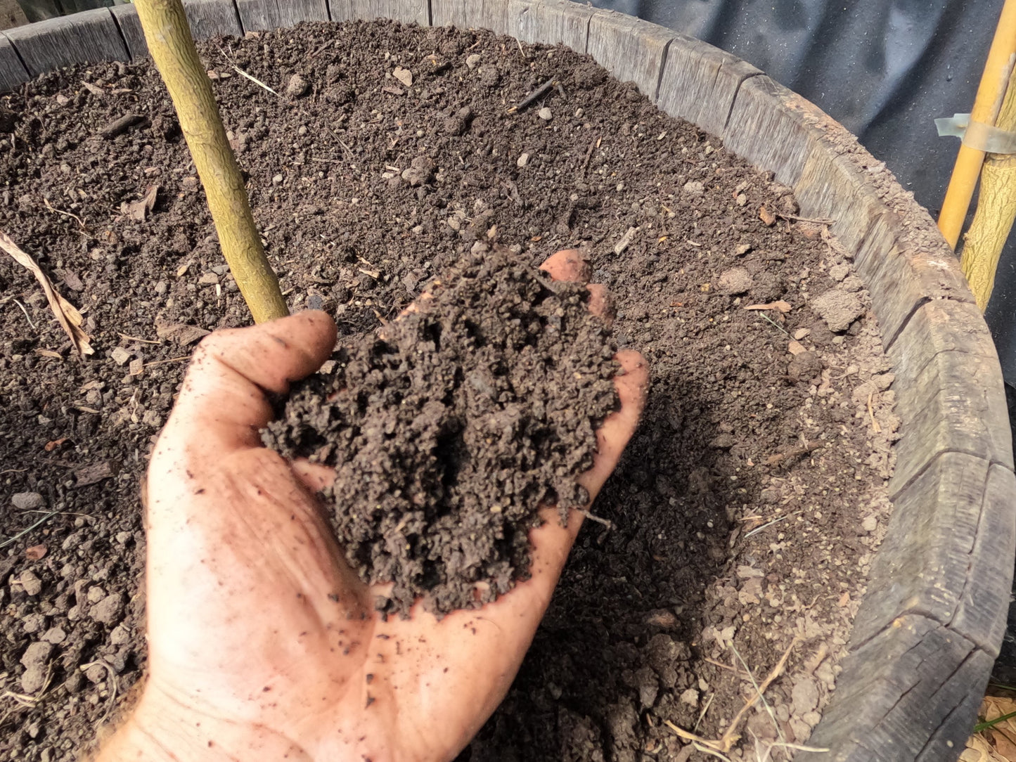 Fermented Potting Blend starring Morpheus