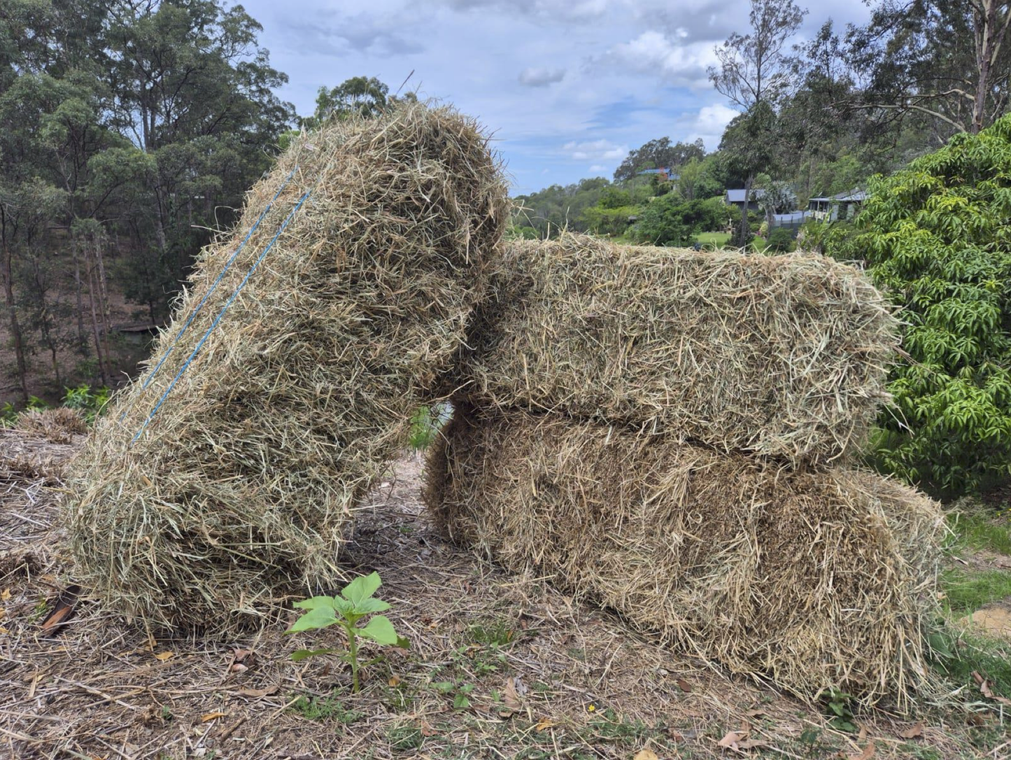 Hay Bales