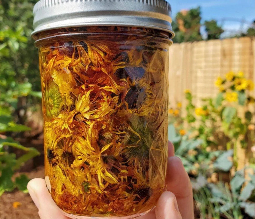 Organic Calendula Salve