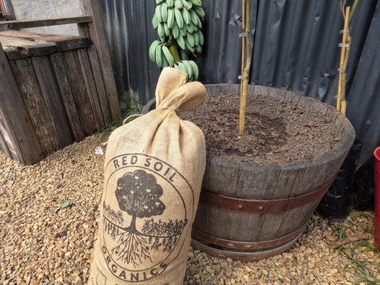 Fermented Potting Blend starring Morpheus