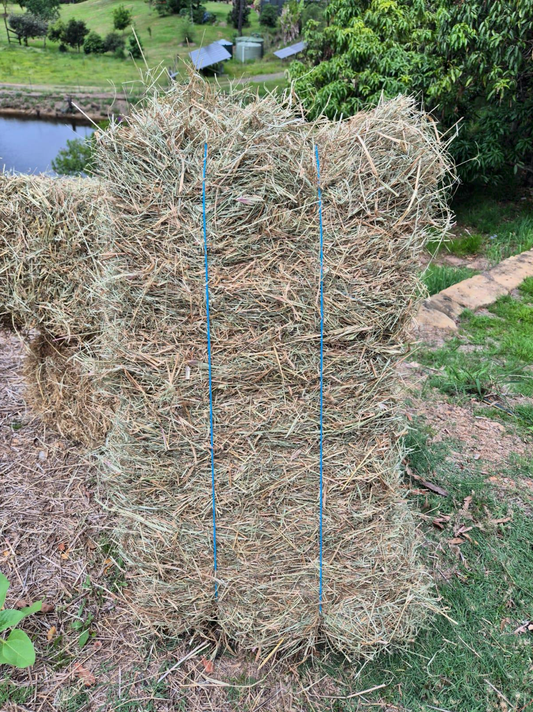 Hay Bales